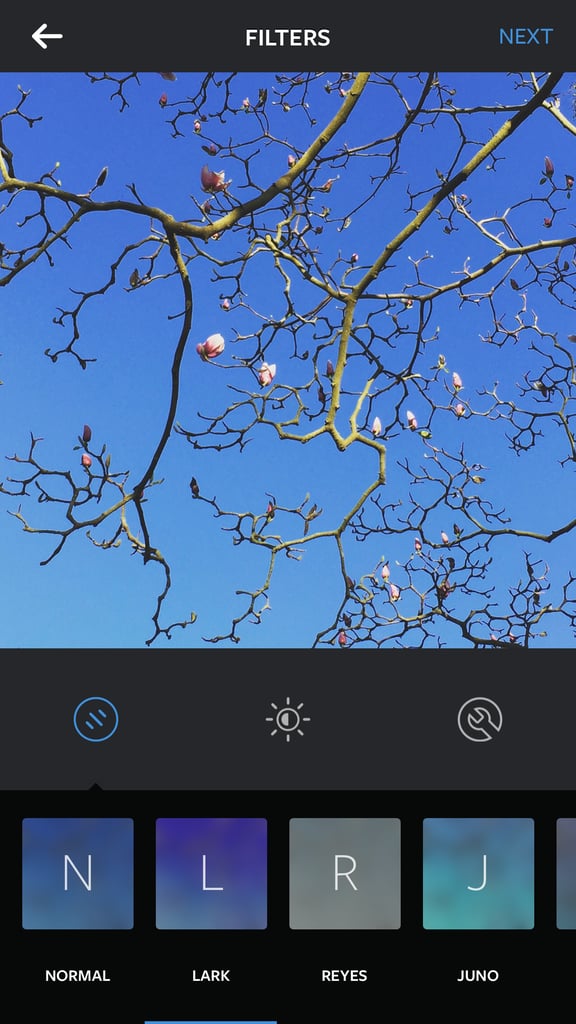 Lark Filter