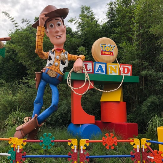 Disney World's Toy Story Land Bucket List