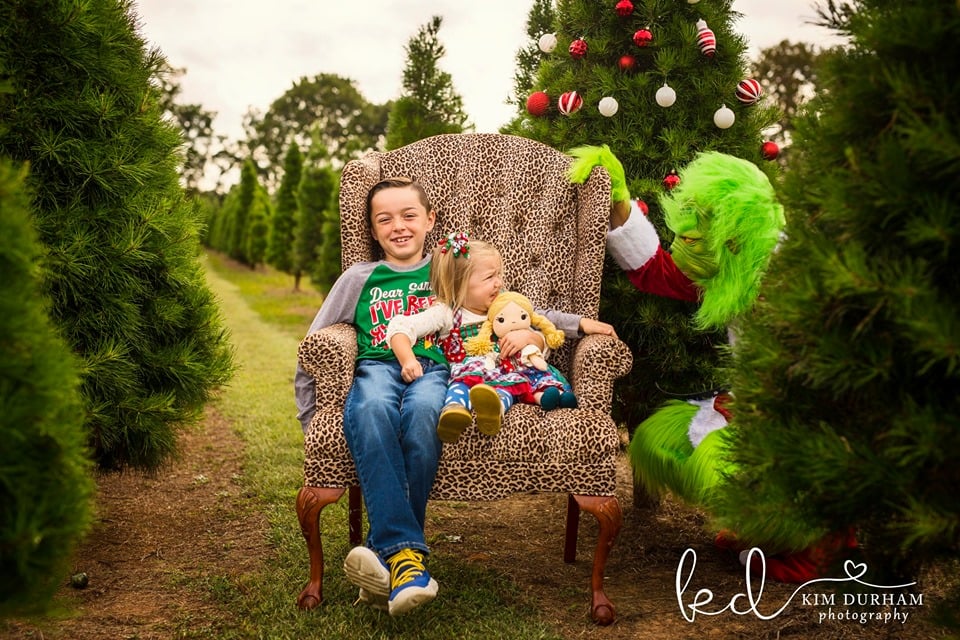 Photographer Stages Grinch-Themed Photo Shoot