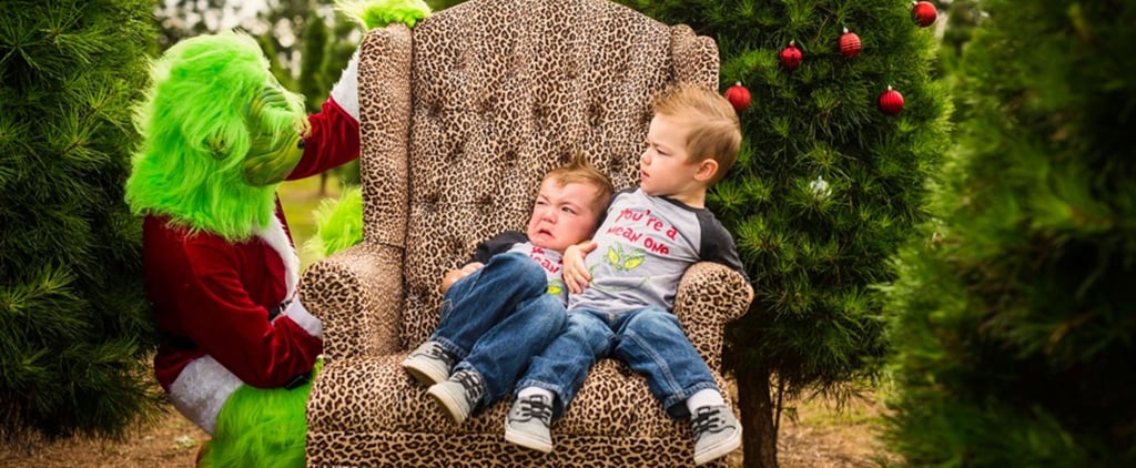 Photographer Stages Grinch-Themed Photo Shoot
