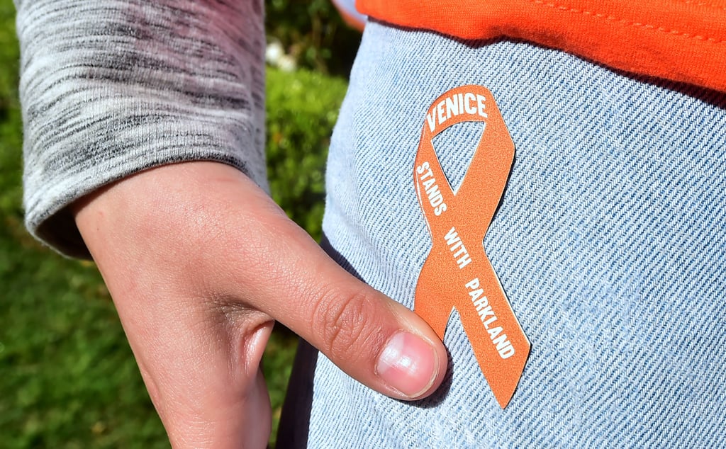 National School Walkout 2018 Gun-Control Protest Pictures