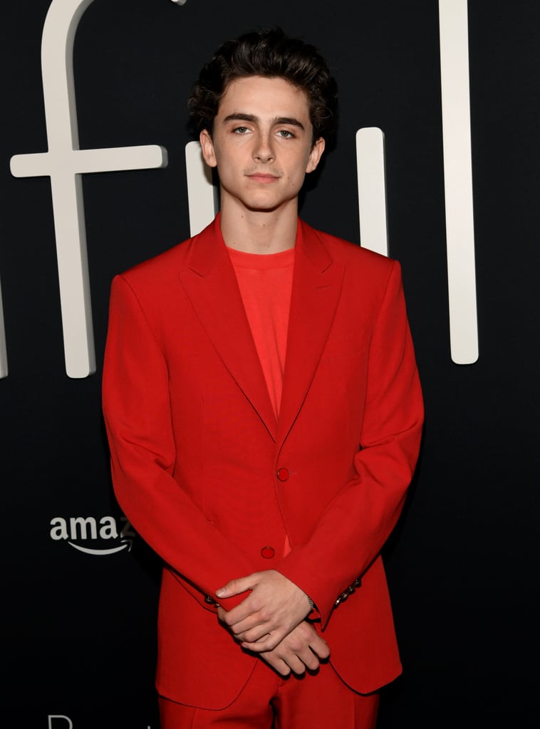 timothee chalamet pop funko
