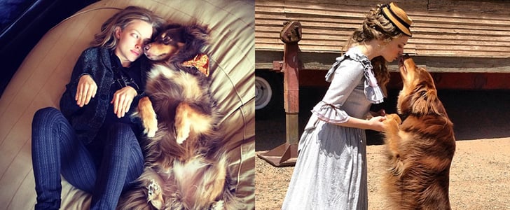 Amanda Seyfried and Her Dog Finn's Instagram Pictures