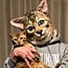 Wearable Cat Head
