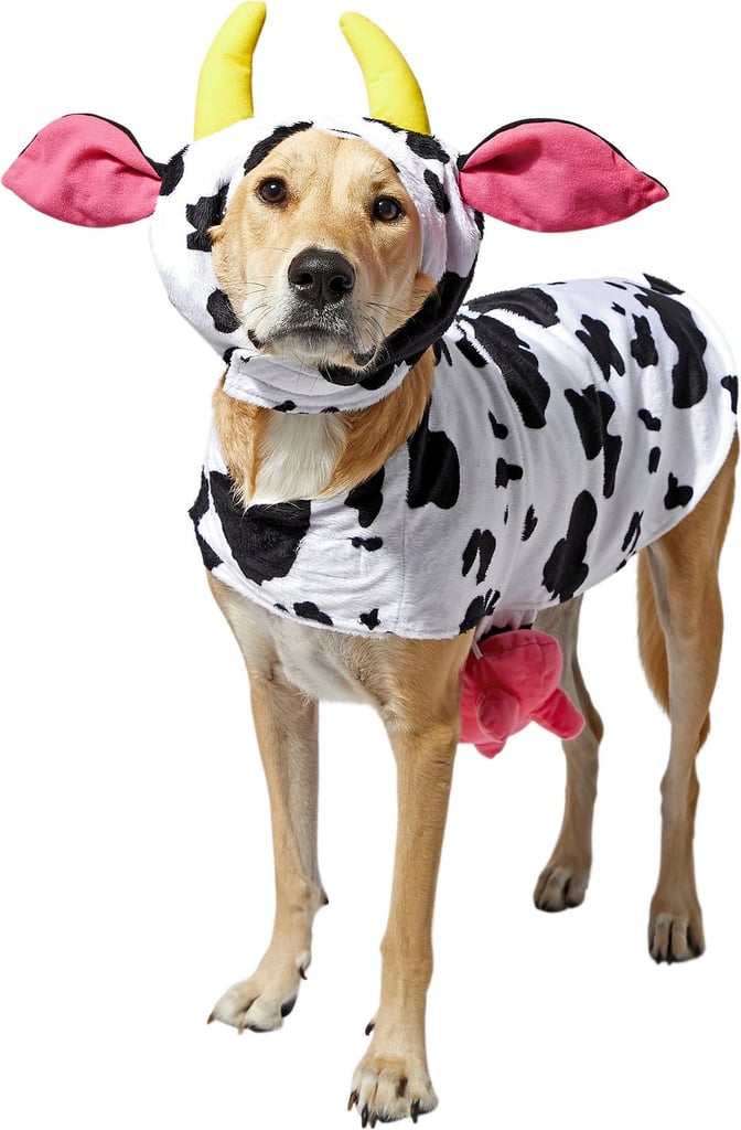 Frisco Happy Cow Dog & Cat Costume