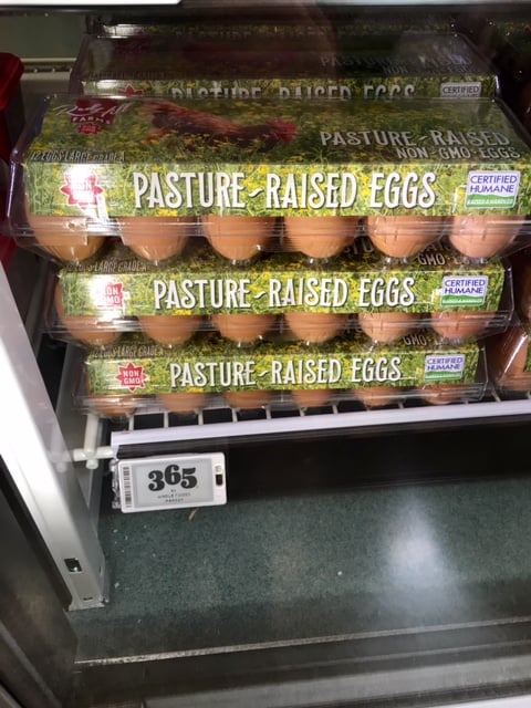 Pasture-Raised, Non GMO Eggs by Red Hill Farms