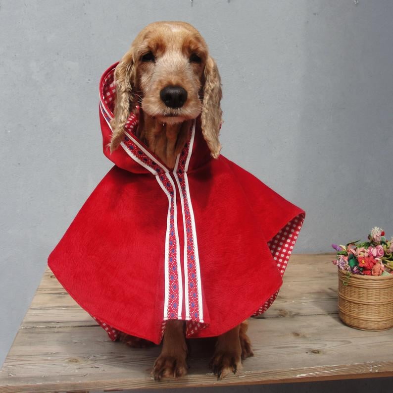 Little Red Riding Hood Dog Costume Cape