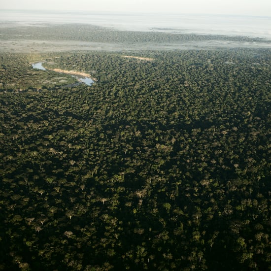 Photos of Amazon Rainforest