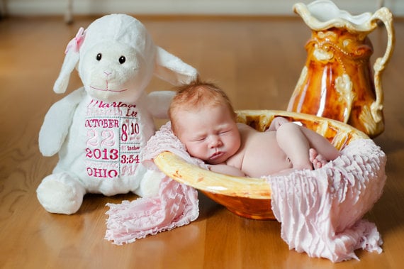 Stuffed Lamb