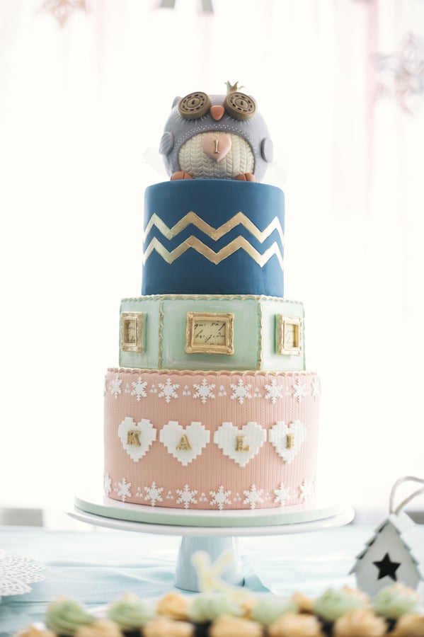 Cozy Owl Cake Cozy Owl Cake