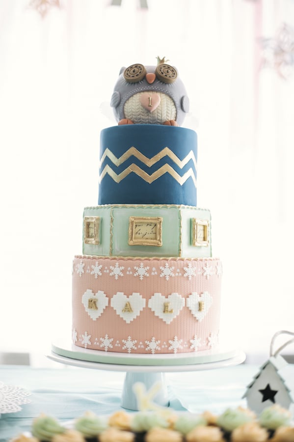 Cozy Owl Cake