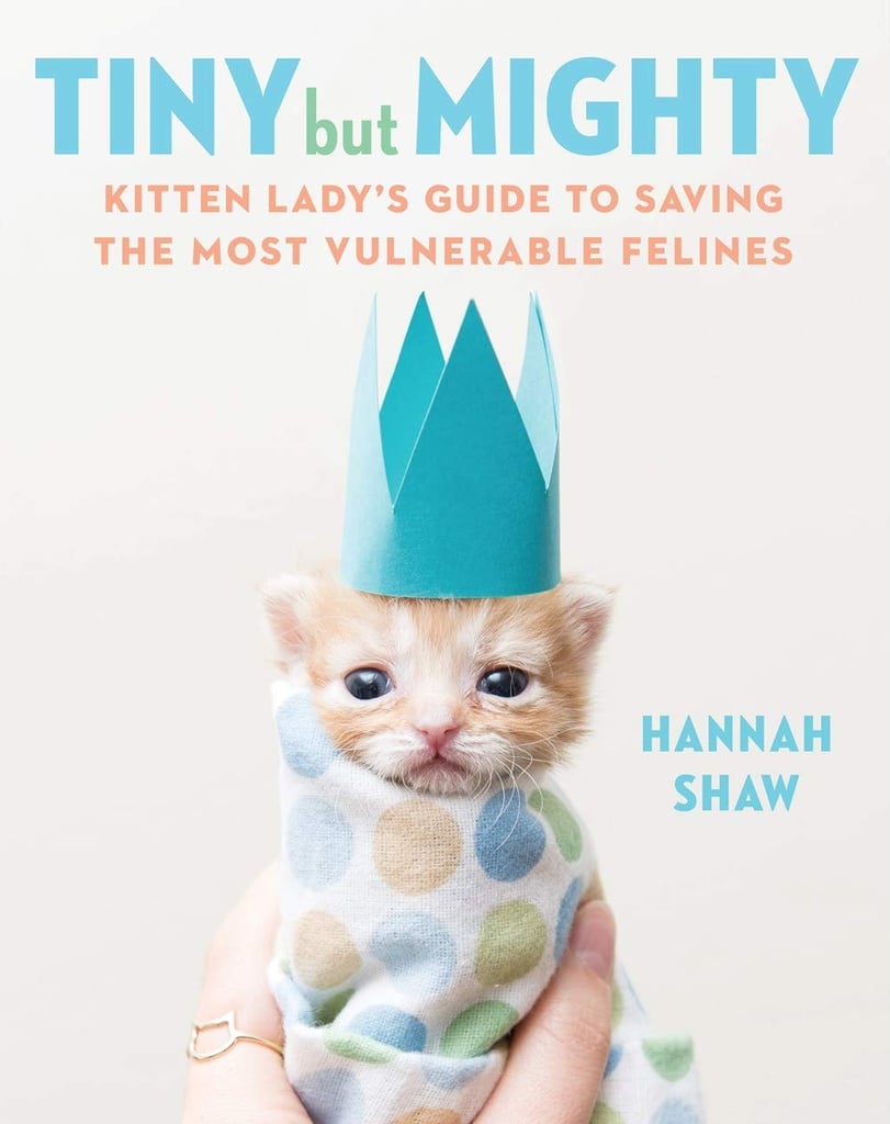 Preorder Tiny But Mighty: Kitten Lady's Guide to Saving the Most Vulnerable Felines ($17) before it hits shelves!
