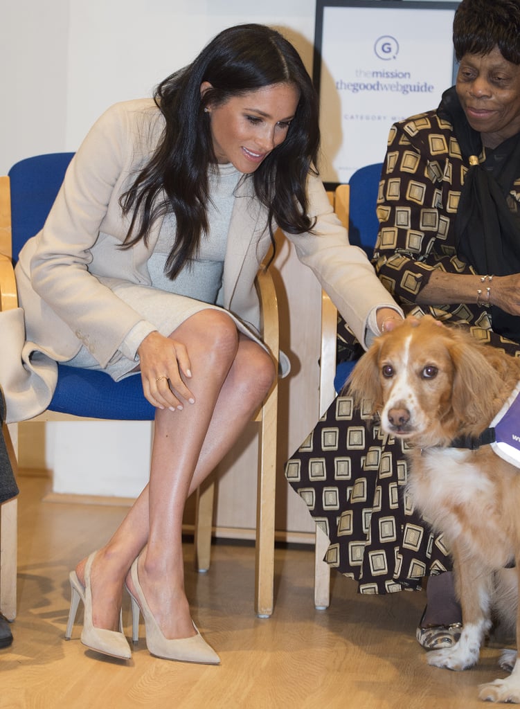 Meghan Markle With Animals Pictures