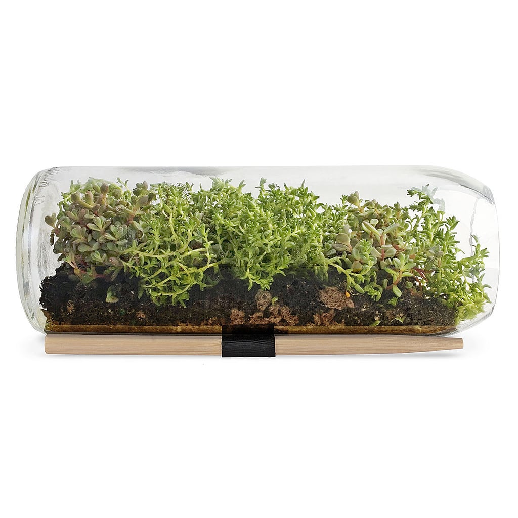 Terrarium Bottle