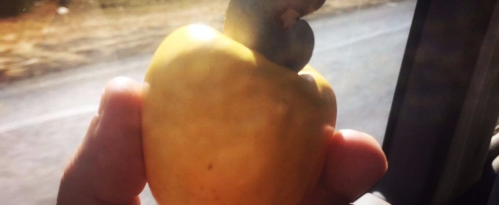 How Are Cashews Grown?