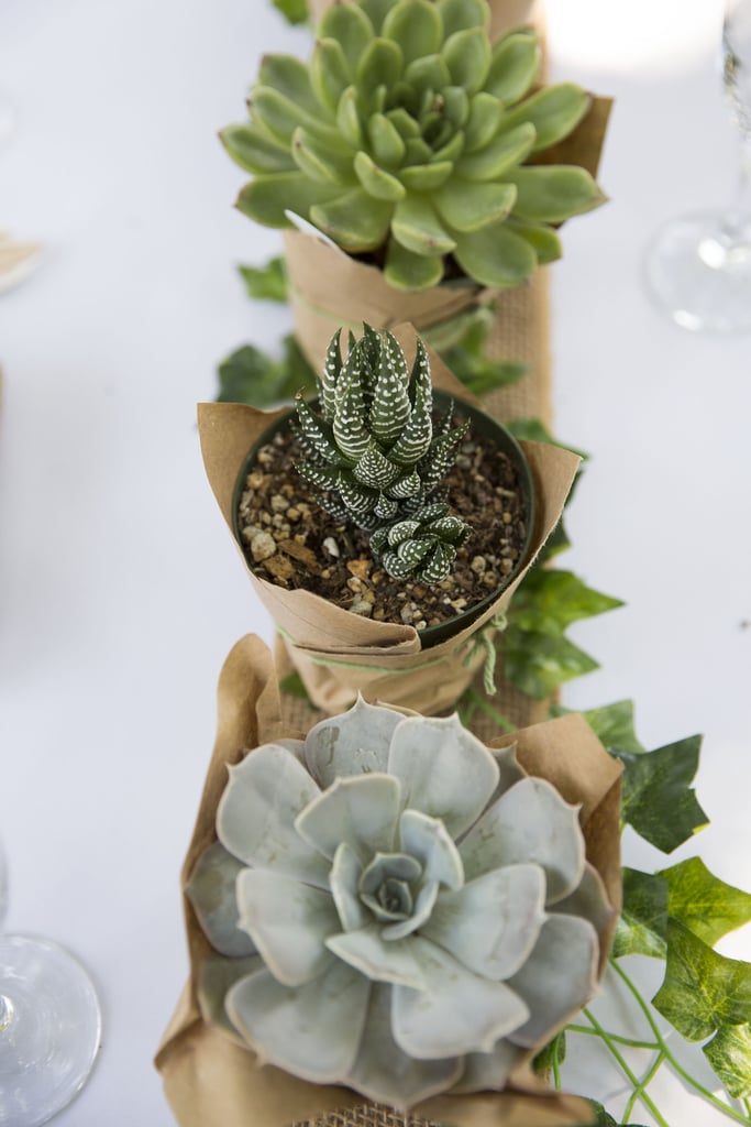 Succulent Centerpieces