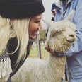 25 Reasons Hilary Duff's Instagram Feed Is Basically a Ray of Sunshine