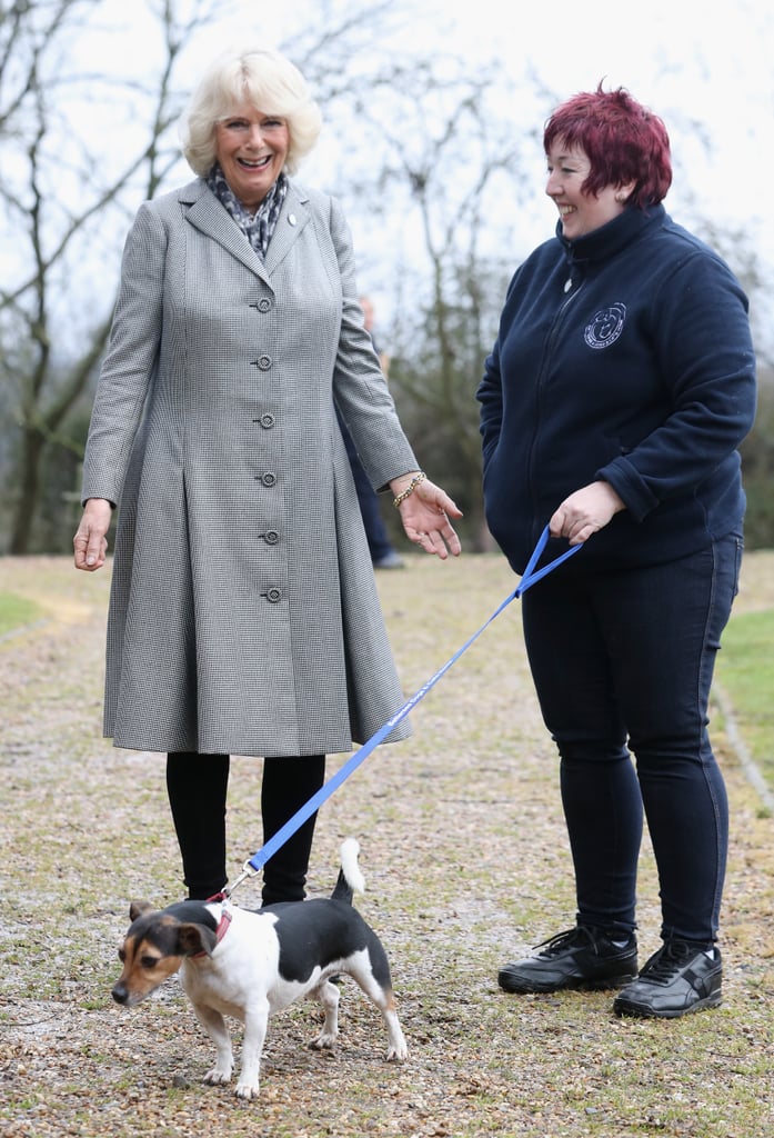 Camilla, Duchess of Cornwall With Beth the Jack Russell Terrier