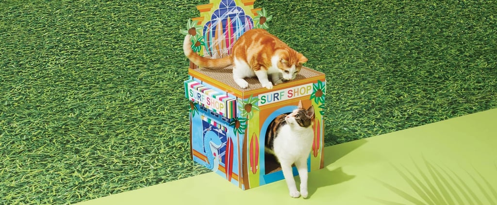 Best Summer Cat Scratch Houses at Target