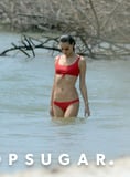 If We Looked This Sexy in Alessandra Ambrosio's Bikini, We'd Be Staring at Ourselves Too