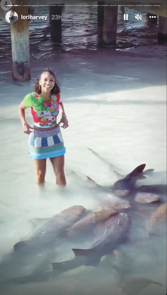 洛丽·哈维在迪奥的t恤和鲨鱼一起游泳去了