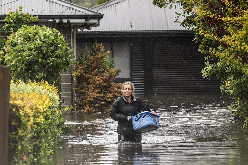 Wading Through