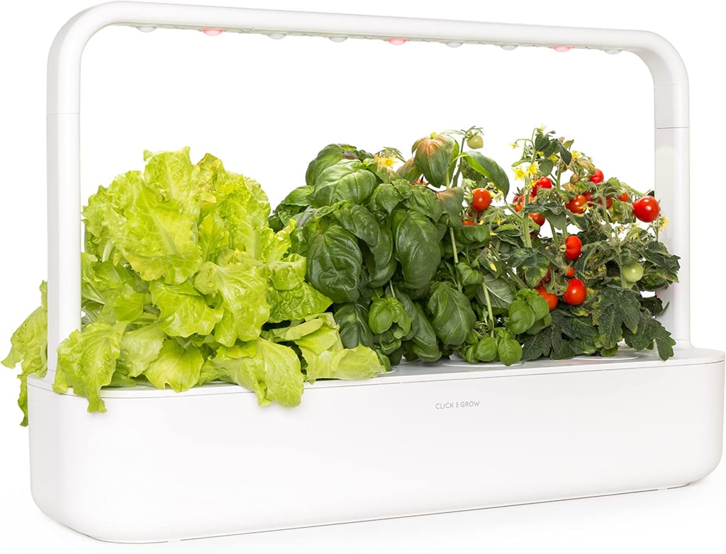 For Fresh Herbs: Click & Grow Indoor Herb Garden Kit