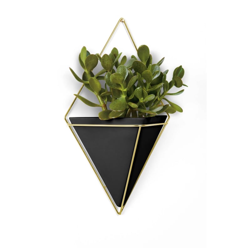 Umbra Large Trigg Display Wall Planter Black/Brass