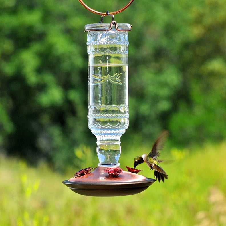 Best Hummingbird Feeder: Perky-Pet 8107-2 Antique Bottle 10-Ounce Glass Hummingbird Feeder