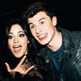 Shawn Mendes Can Add Braiding to His List of Achievements — His First Client? Camila Cabello