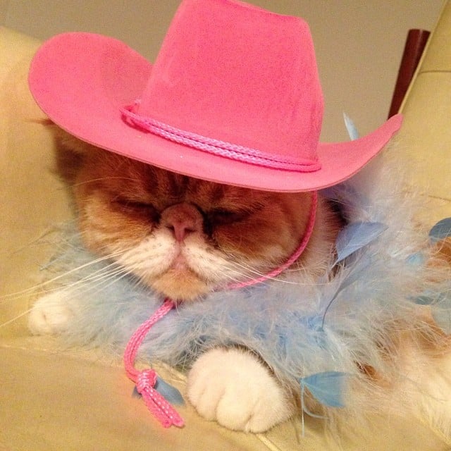 The wild West was too wild . . . must sleep now