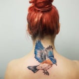 Bird Tattoos That'll Make Straight
