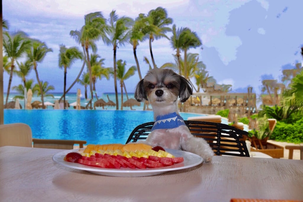 Eden Roc Cap Cana was a luxurious vacation fit for a diva princess like #TRAVELINGTINK, and I loved every second of it!