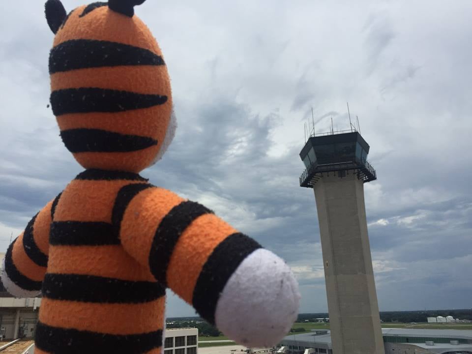 Boy Leaves His Tiger in an Airport and It Goes on Adventure