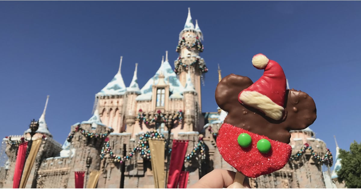 Disneyland Holiday 2016 | POPSUGAR Smart Living