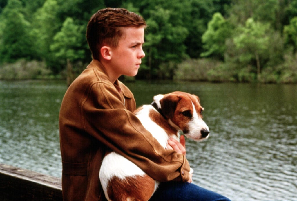 My Dog Skip