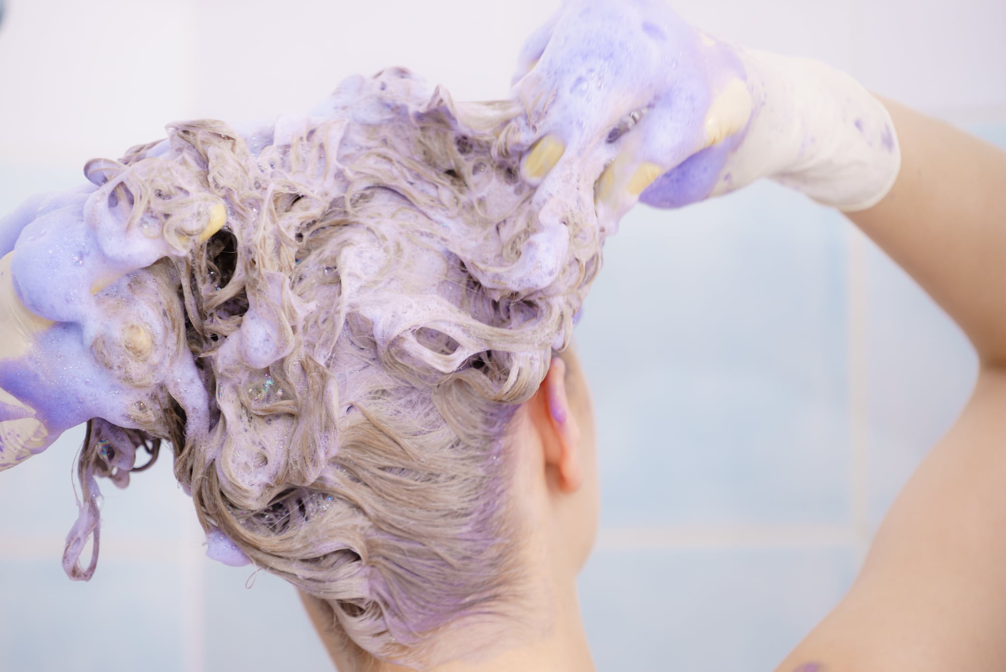 Woman applying colouring shampoo on her hair. Female having purple washing product. Toning blonde colour at home.