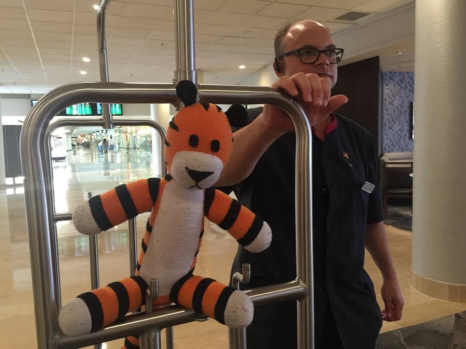 Boy Leaves His Tiger in an Airport and It Goes on Adventure