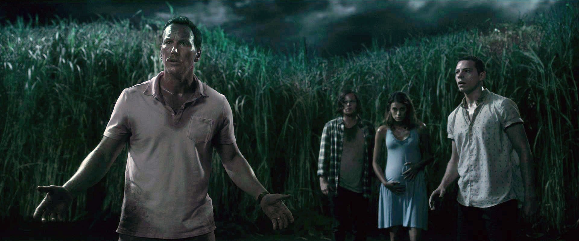What Halloween Movies Are On Netflix 2019 : Halloween Movies On Netflix The Best Scary Movies On Netflix In 2019 - I only have netflix, so i am purely choosing movies available within netflix.