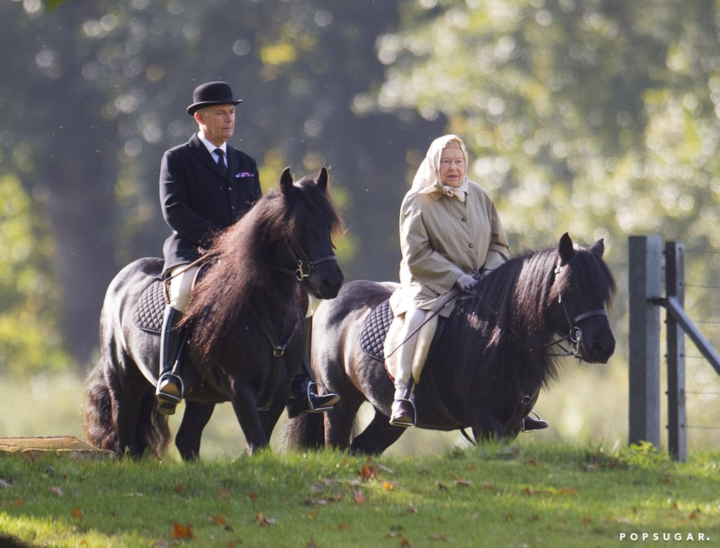 She Rides Horses