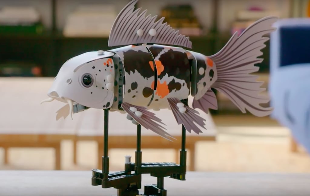 Koi Model