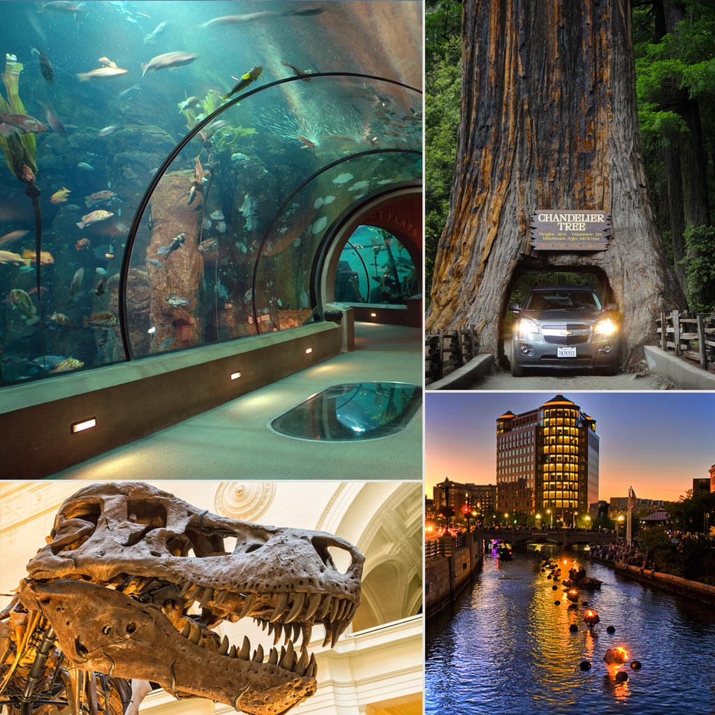 Attractions For Kids and Families Around USA | POPSUGAR Family