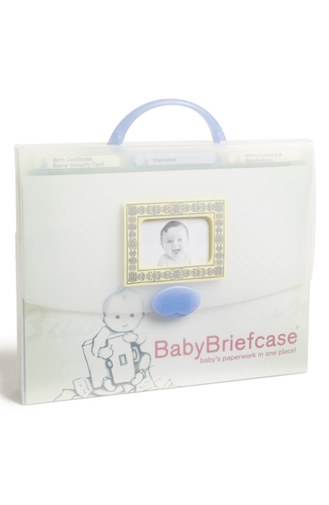 BabyBriefcase Document Organiser