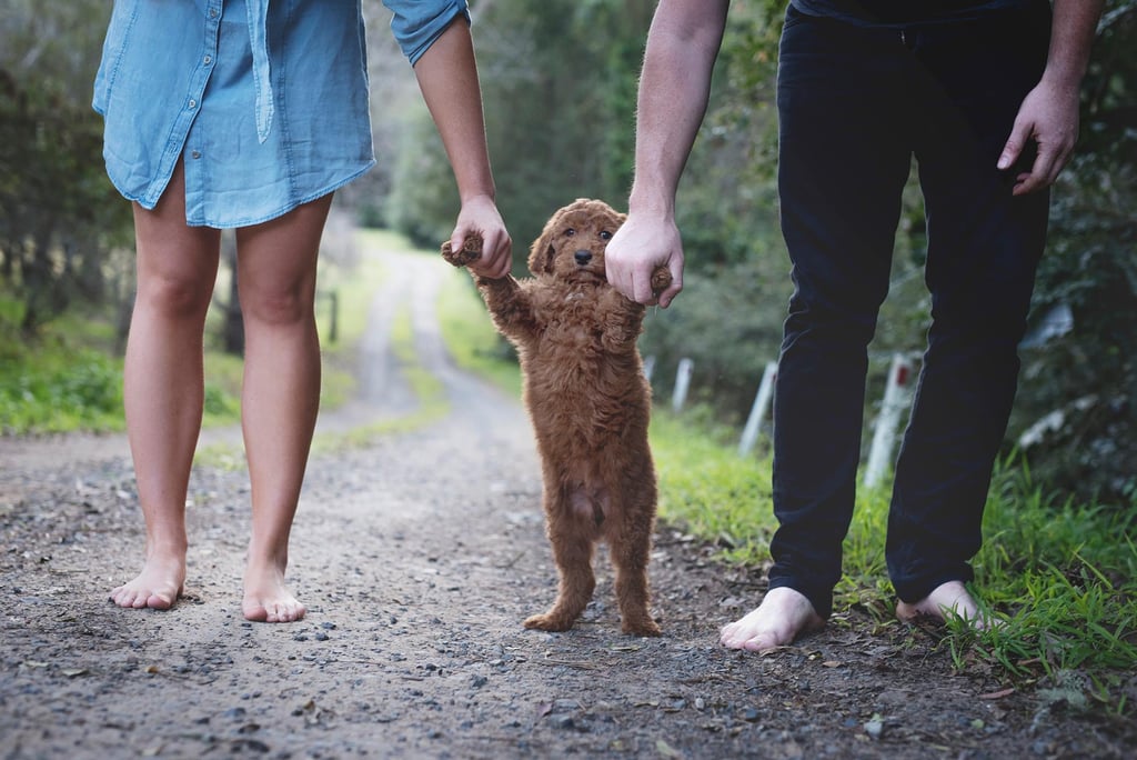 Newborn Photo Shoot Spoof With Puppy