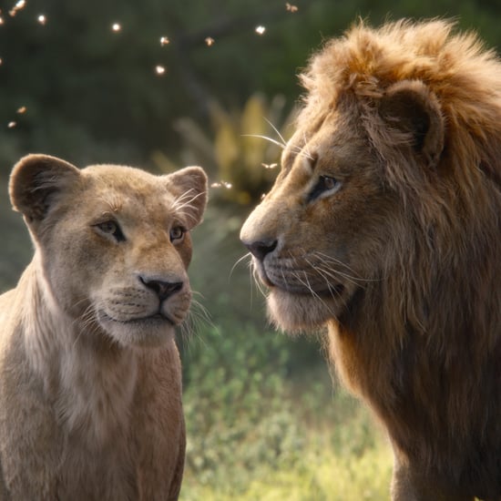 How Is the New Lion King Different From the Original?