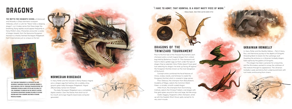 Including plenty about dragons, of course.