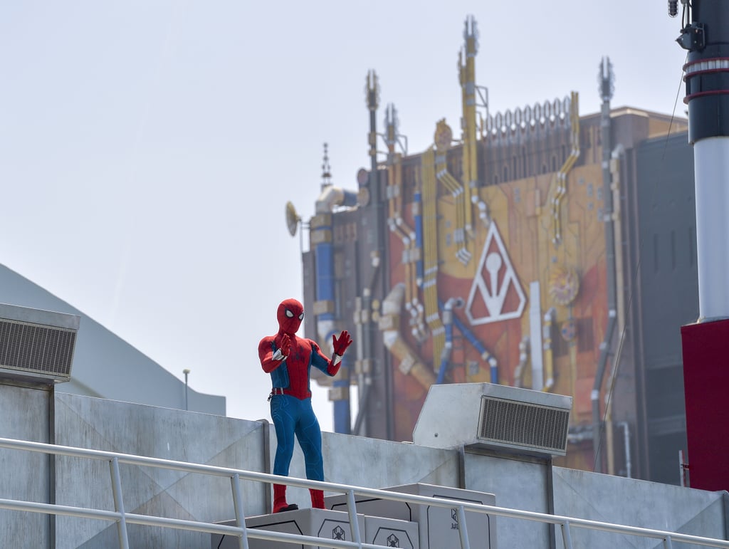 Flying Animatronic Spider-Man at Avengers Campus | Videos