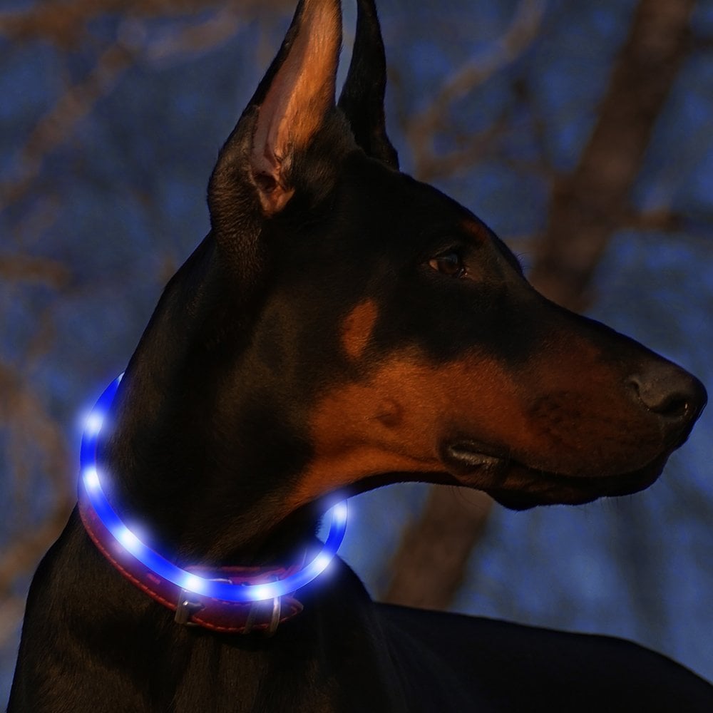USB Rechargeable Glowing Pet Safety Collar