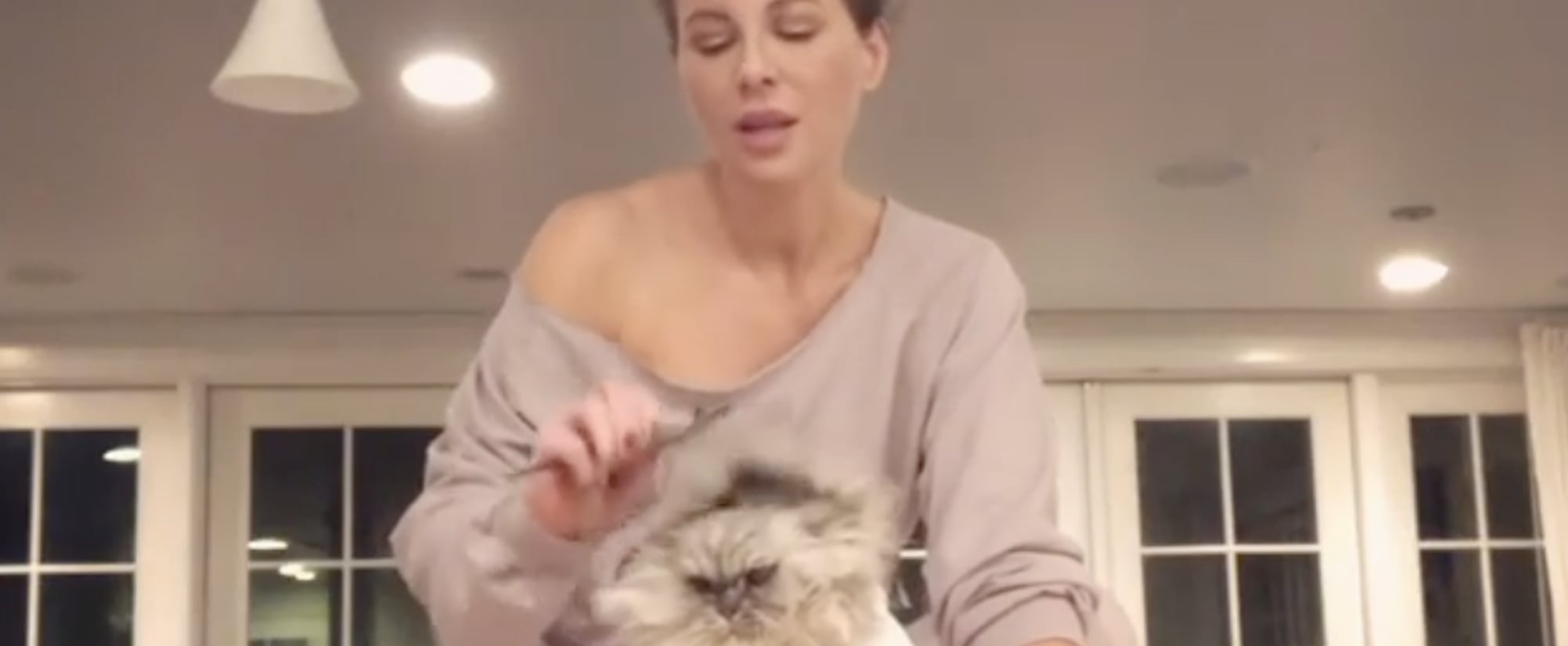 Videos Of Kate Beckinsale S Two Cats Clive And Willow Popsugar Pets