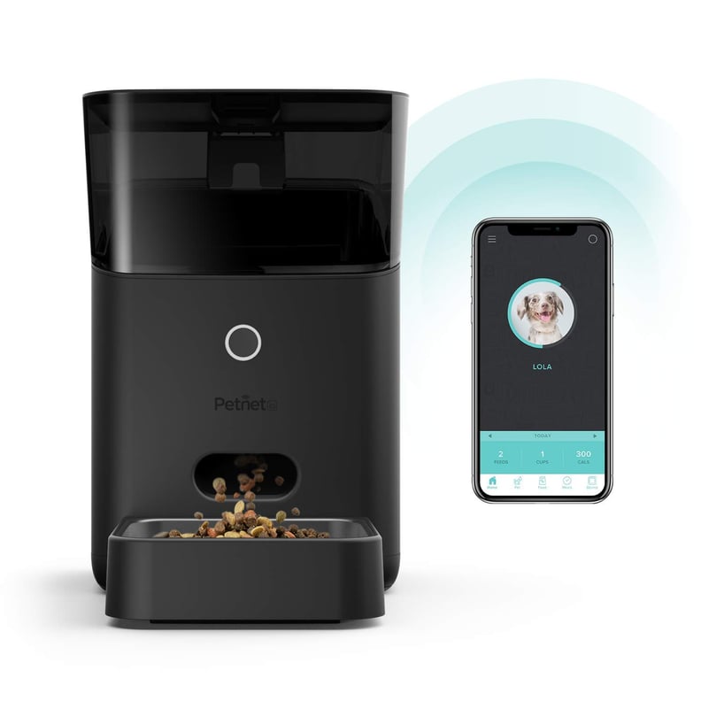 Petnet SmartFeeder Automatic Wi-Fi Pet Feeder